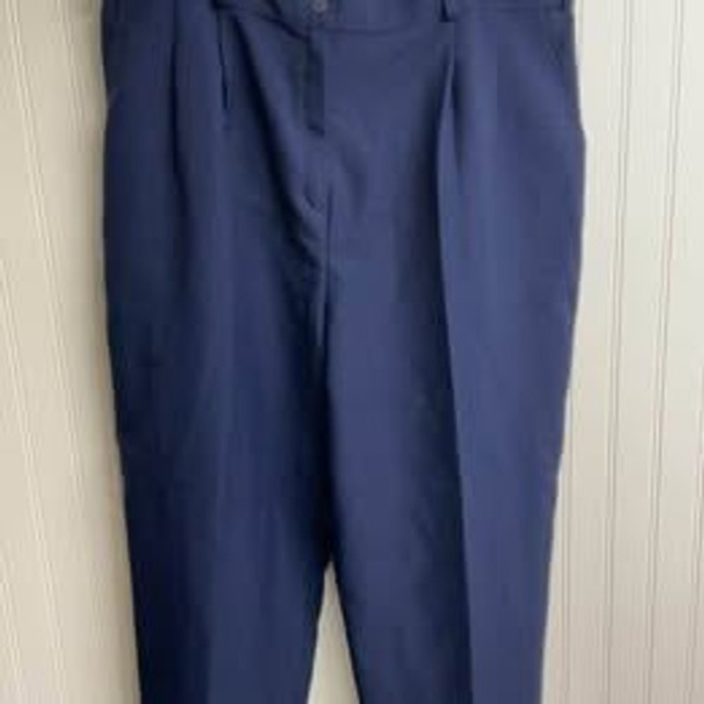 Alia Navy Blue Pleated Dress Pants Plus Size 18W High Rise Trousers Office Wear